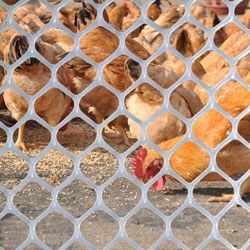 Chicken Screening Mesh Manufacturer