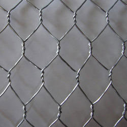 G.I Galvanised Hexagonal Weave Wire Mesh Manufacturer