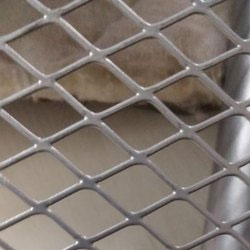 M S Mild steel Expanded Wire Mesh Manufacturer