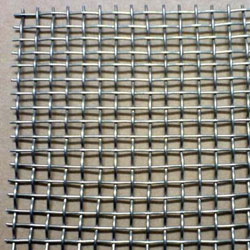 SS Plain Weave Wire Netting Manufacturer